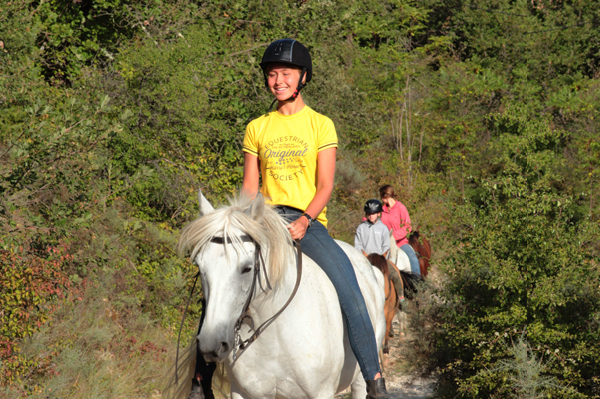 le bonheur  cheval en Vaucluse