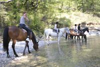 equitation avec cavaliers confirms  la journe entre drome et  Vaucluse