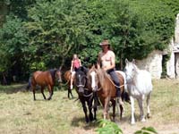 troupeau_de_chevaux