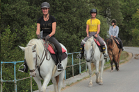 equitation avec cavaliers confirms  la journe entre drome et  Vaucluse